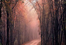 FIFA买球网站 -中科宇航火(huǒ)箭超级工厂竣工投产 力(lì)箭二号运载火(huǒ)箭迈入批量化生(shēng)产阶段